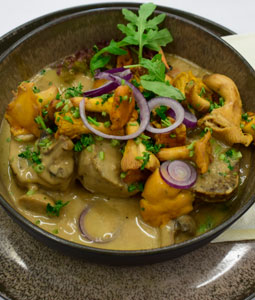 Frische Pfifferlige mit Vollkorn Serviettenknödeln